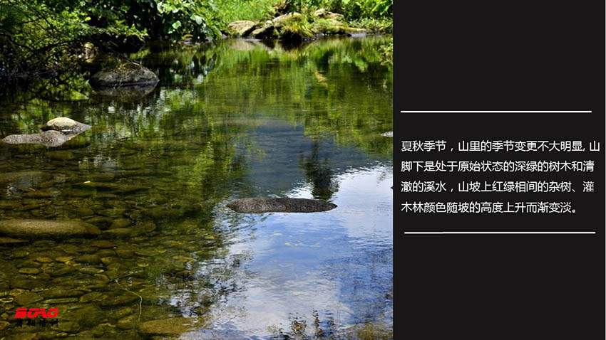 高山草甸龍頭嶺