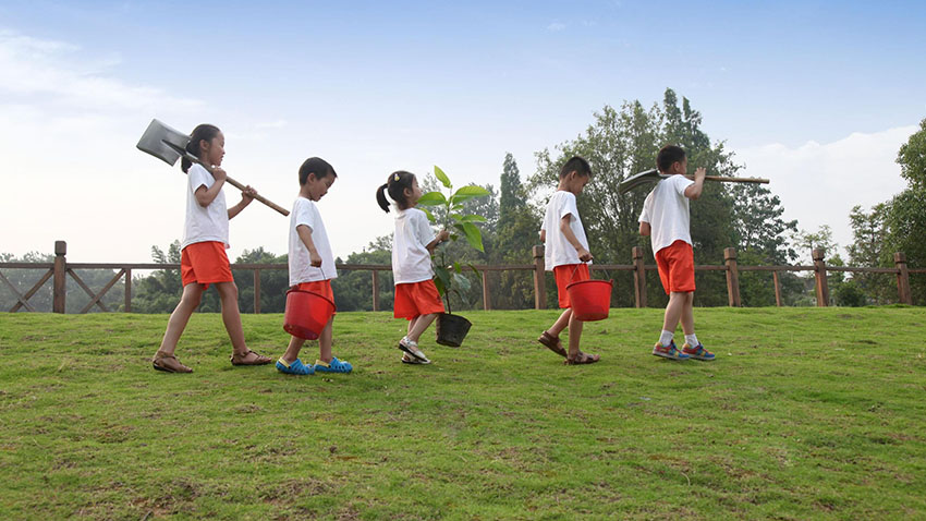 播種植樹(shù)-呵護(hù)生命成長(zhǎng)