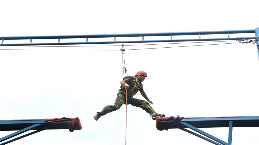 廣州易福諾木業(yè)有限公司南海大濕地兩天團(tuán)建活動(dòng)